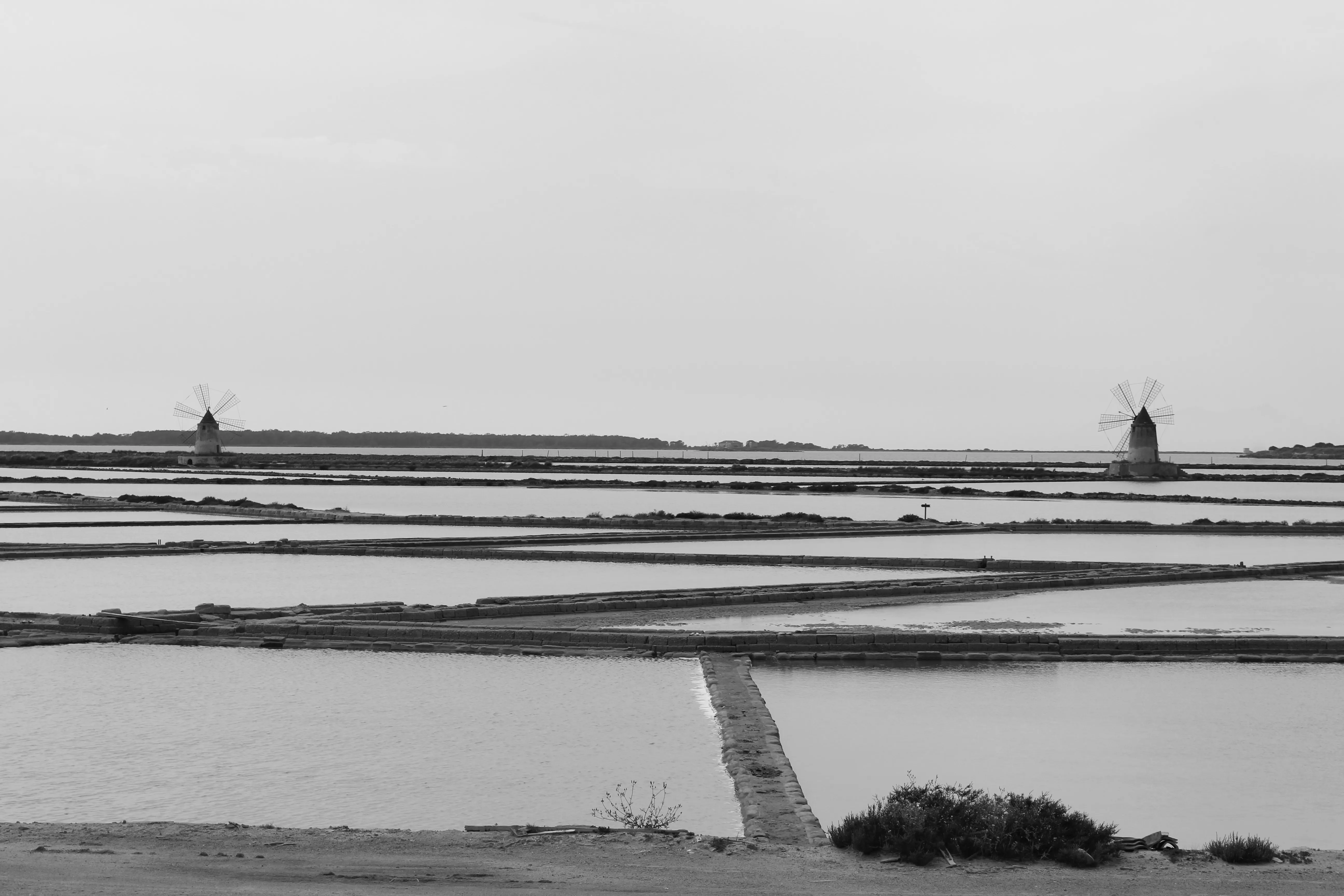 Fotografia di Calogero Gebbia