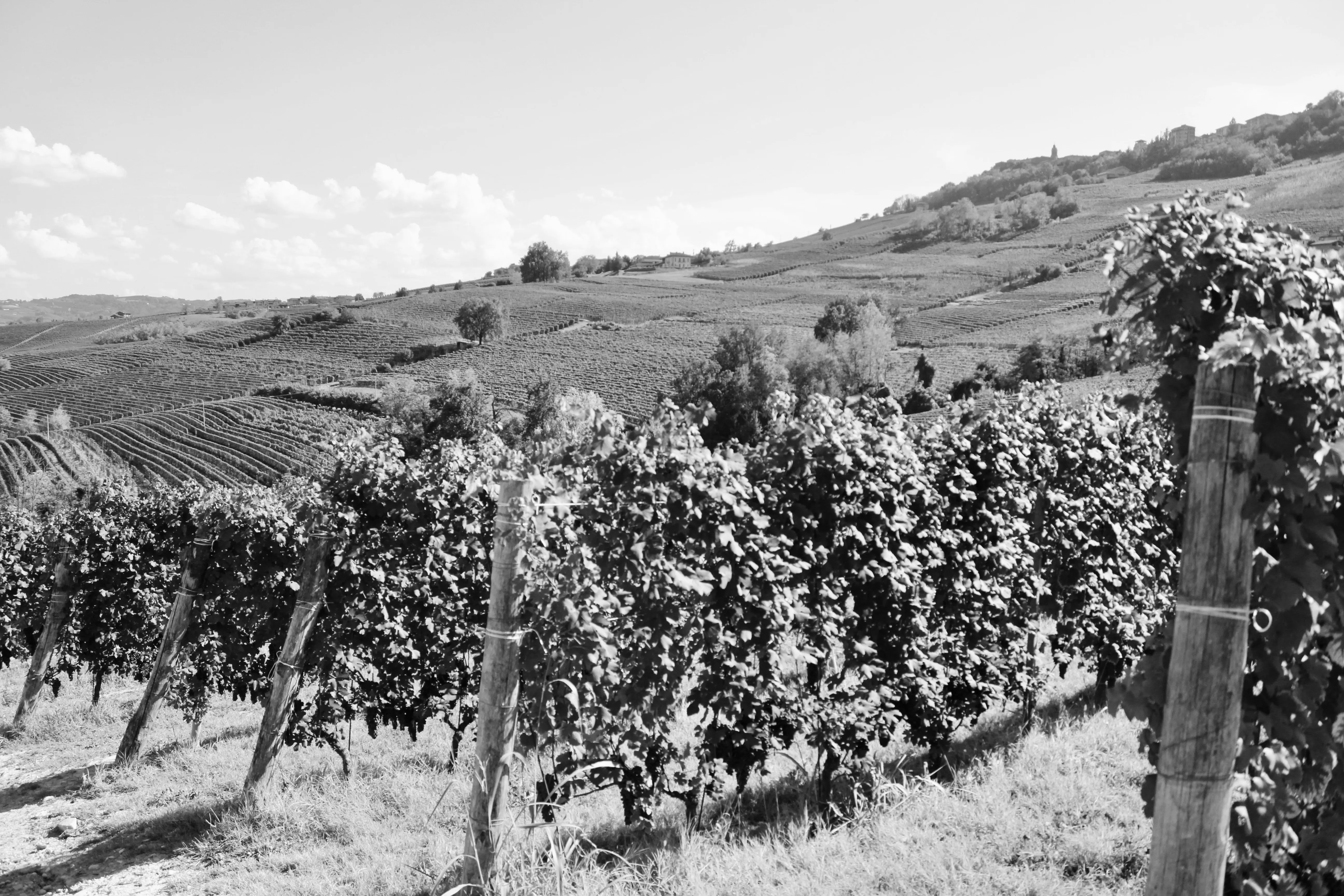 Fotografia di Calogero Gebbia
